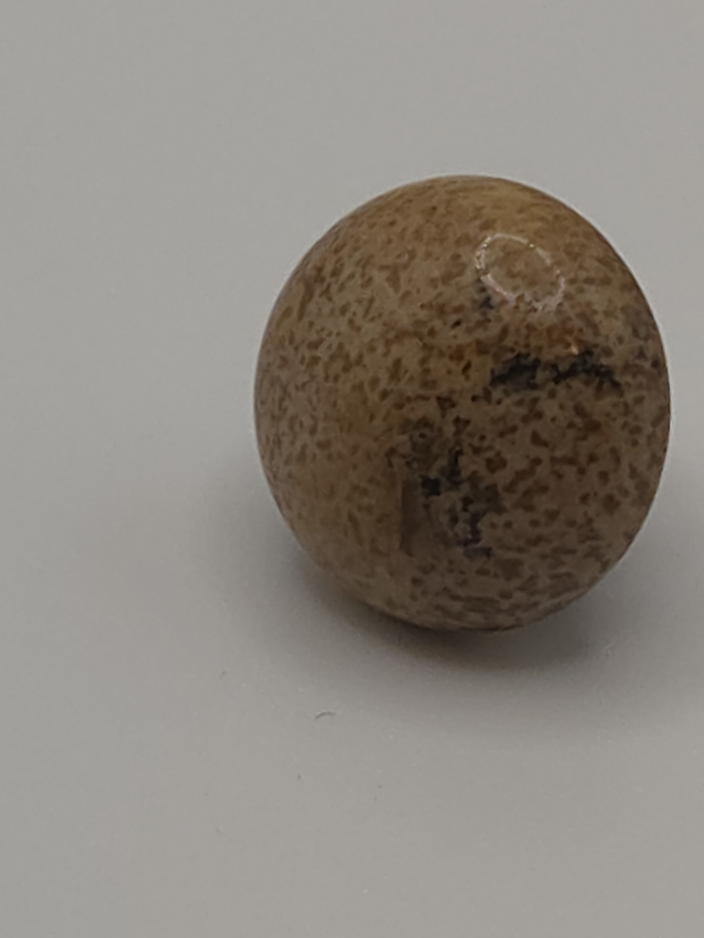 Kameleon Jewel Pop Desert Jasper Poprock Kjps08